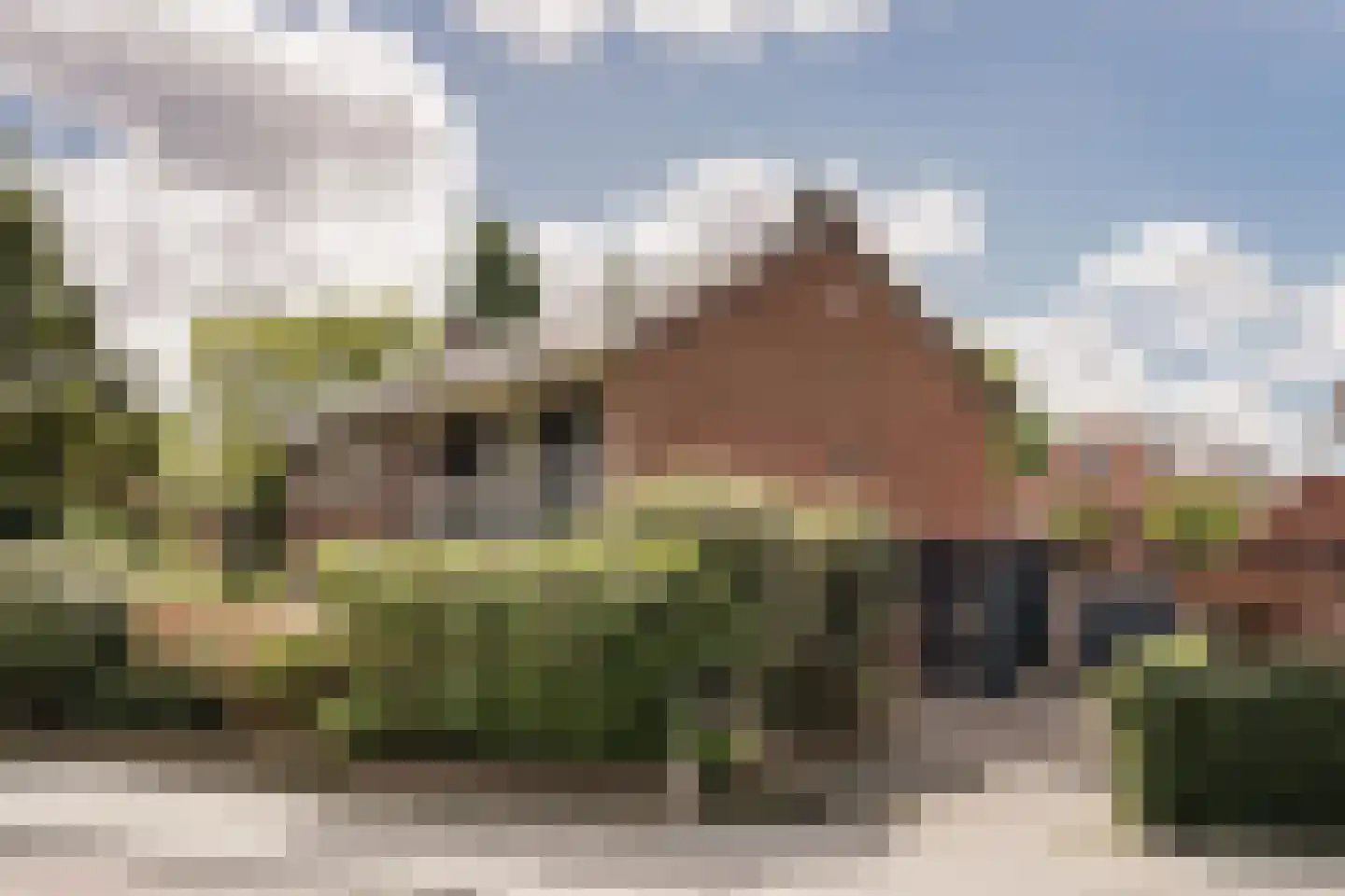 Krakeling 37 Bennebroek thumbnail 51