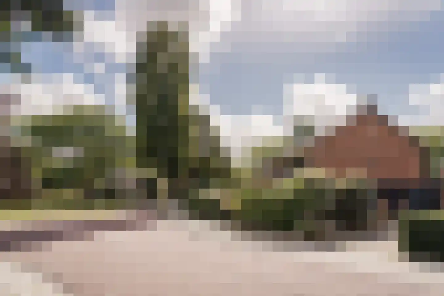 Krakeling 37 Bennebroek thumbnail 52