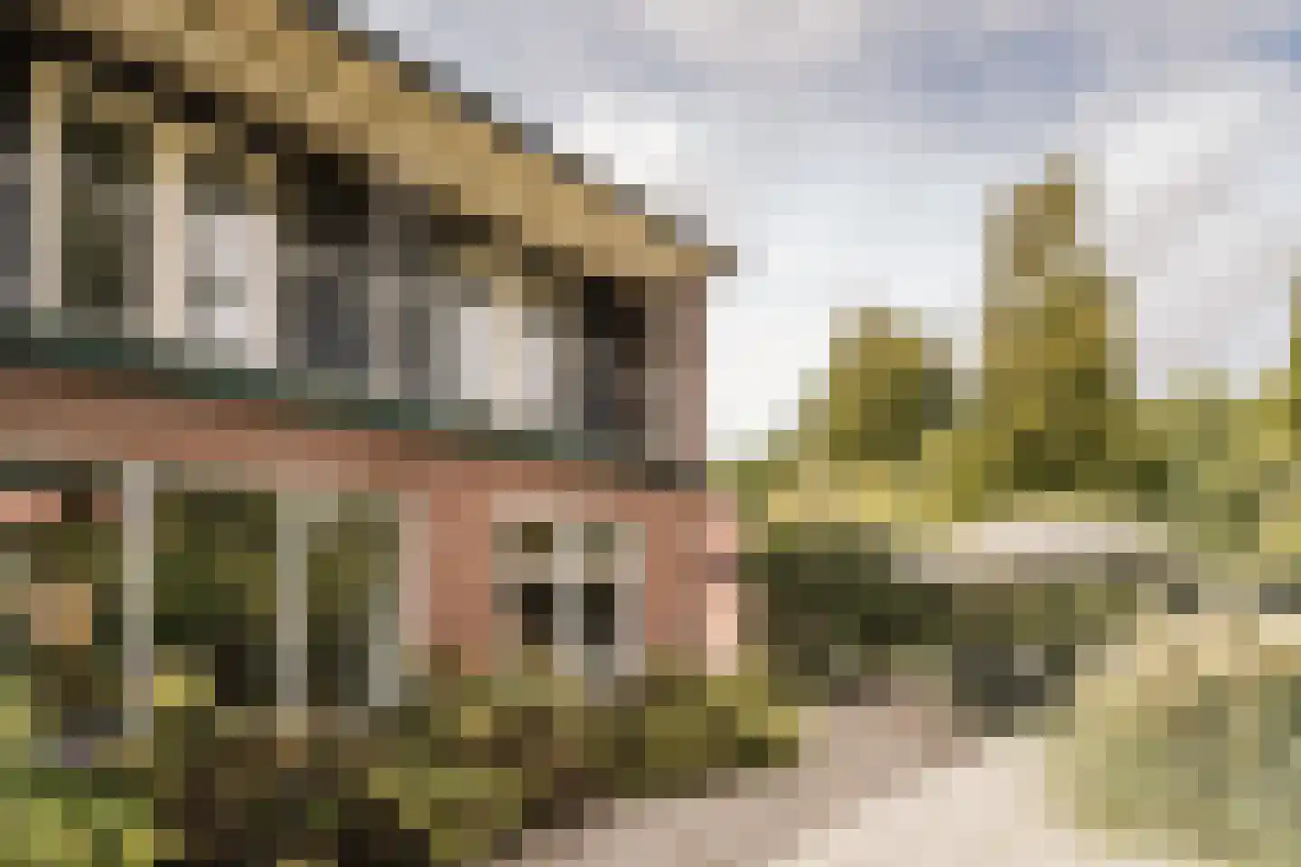 Krakeling 37 Bennebroek thumbnail 7