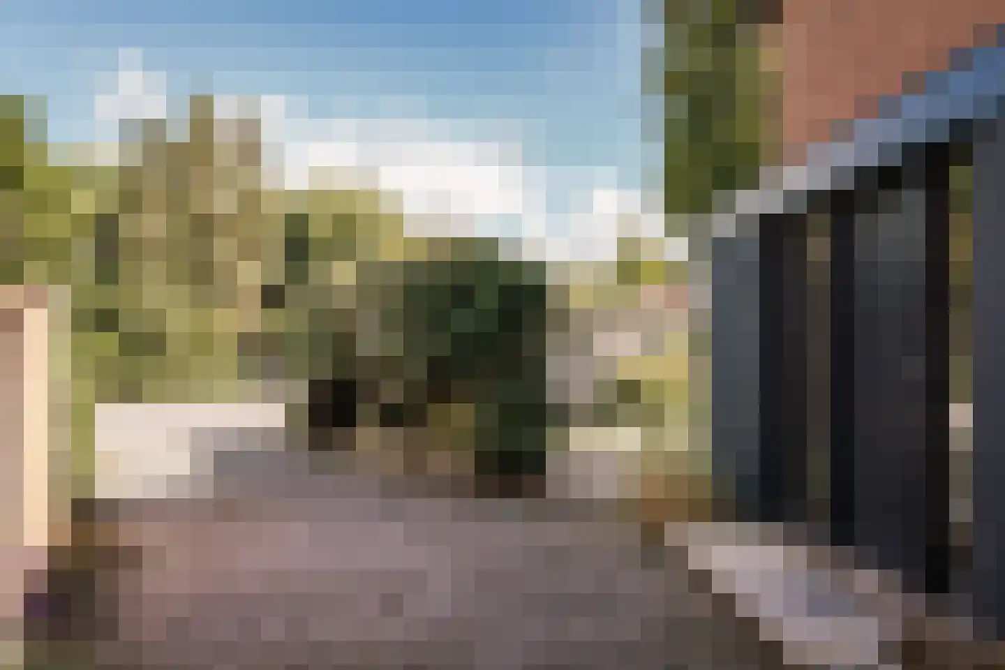 Krakeling 37 Bennebroek thumbnail 9