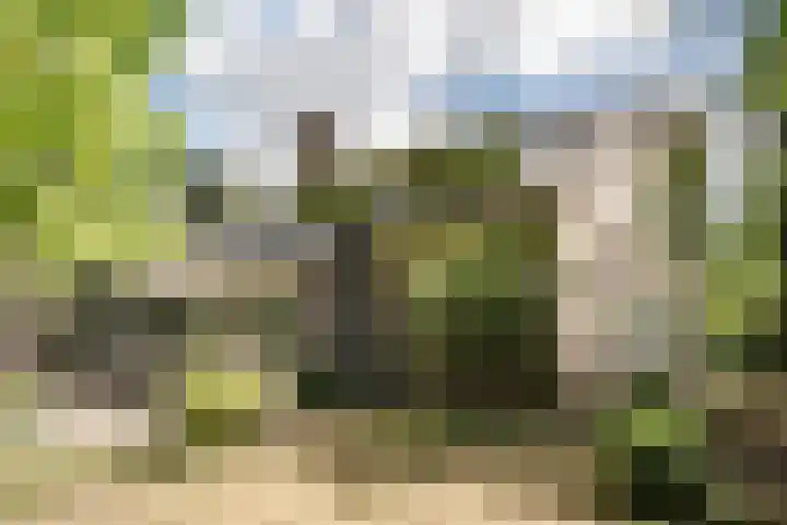 Krakeling 54 a Bennebroek thumbnail 23