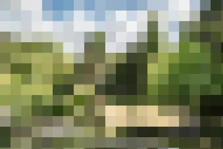 Krakeling 54 a Bennebroek thumbnail 35