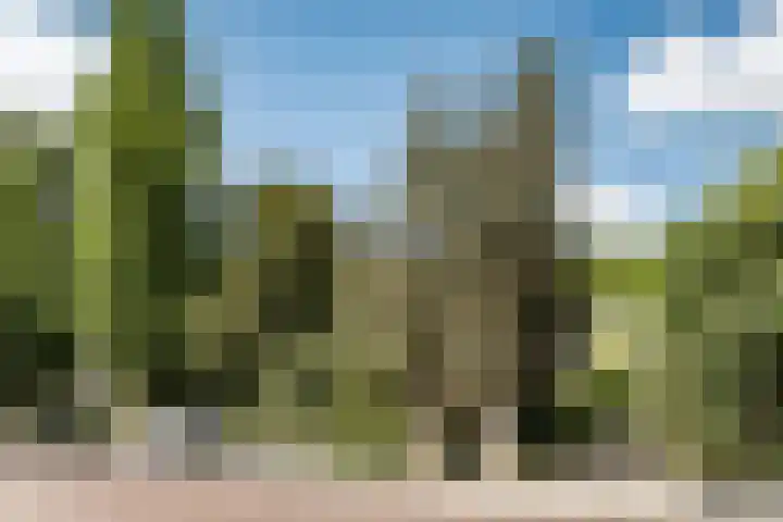 Krakeling 54 a Bennebroek thumbnail 6