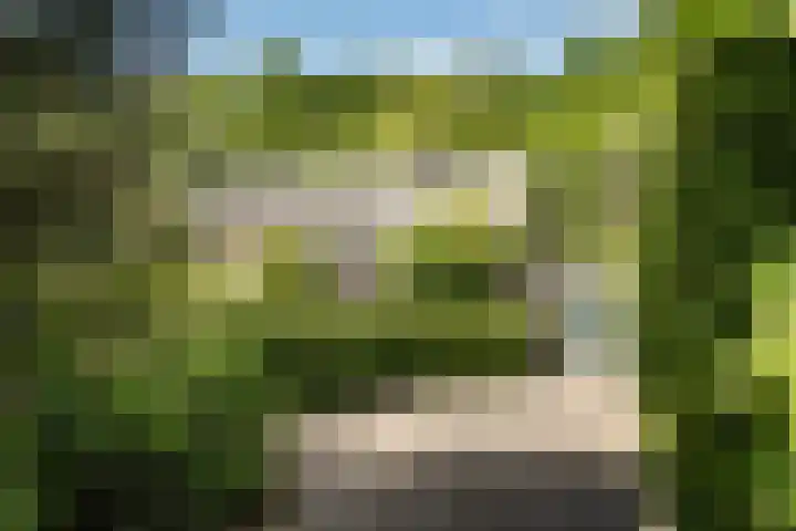 Krakeling 54 a Bennebroek thumbnail 7