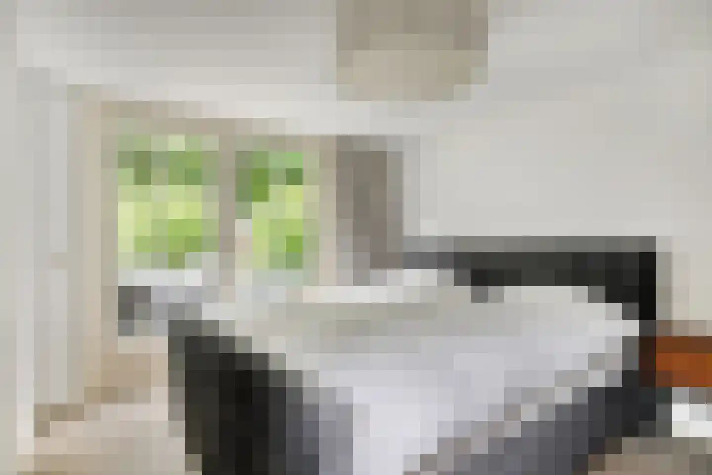 Krakelingweg 35 Zeist thumbnail 15