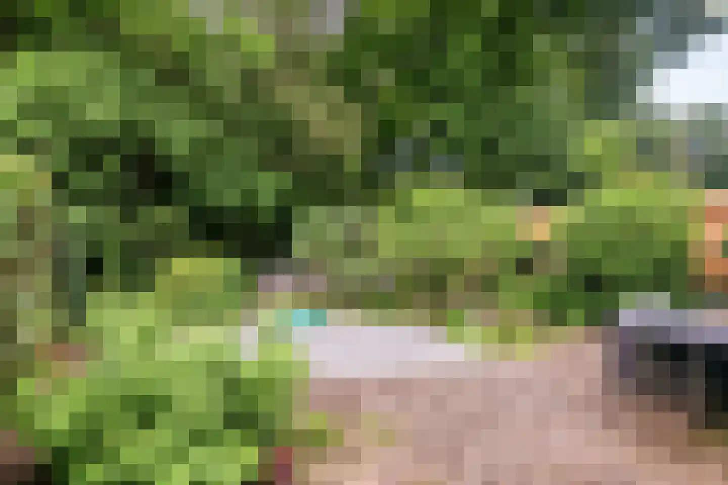 Krakelingweg 35 Zeist thumbnail 32