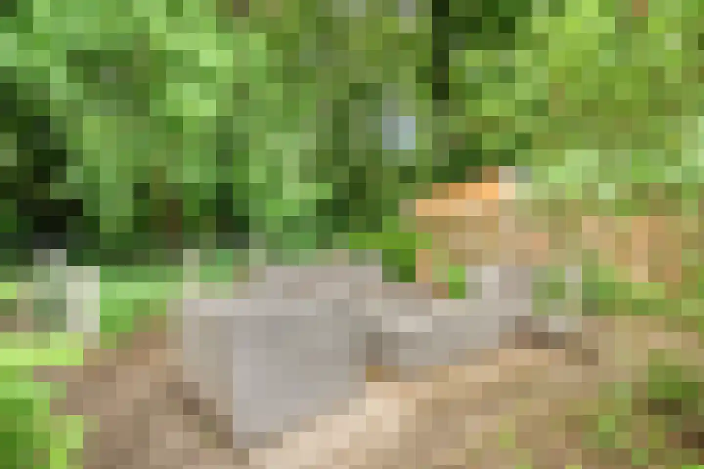 Krakelingweg 35 Zeist thumbnail 33
