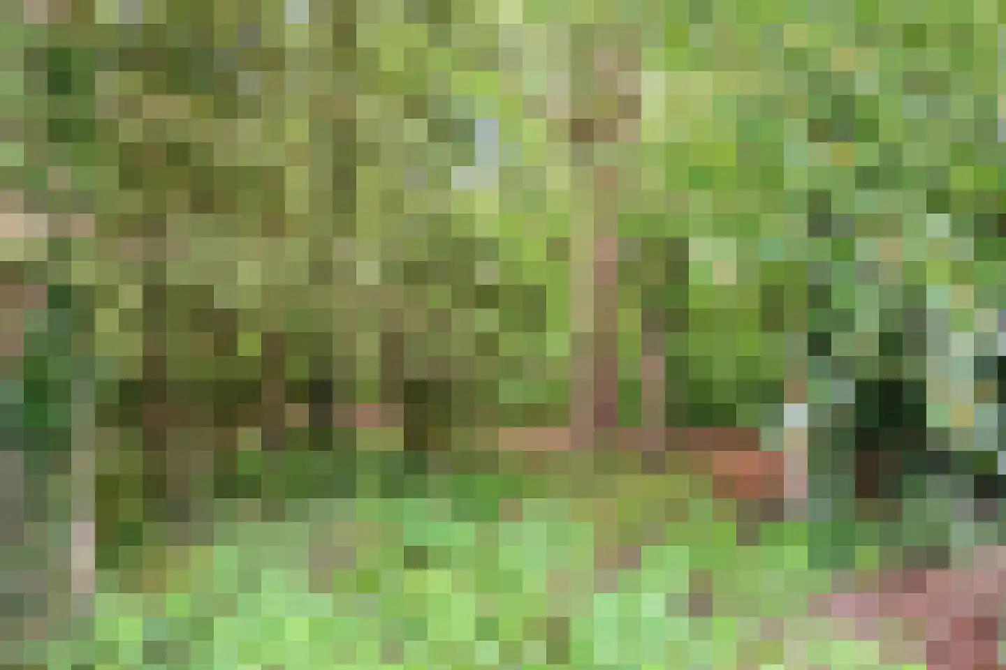 Krakelingweg 35 Zeist thumbnail 35