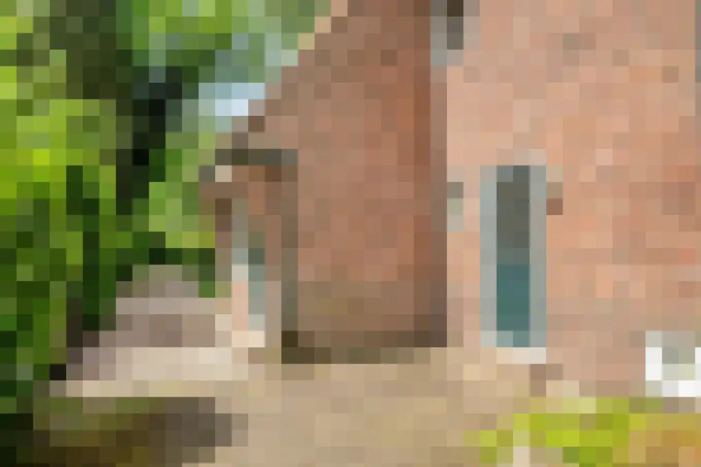Krakelingweg 35 Zeist thumbnail 36