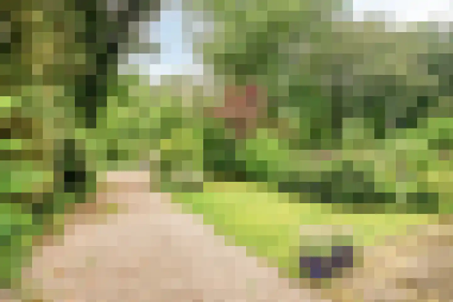 Krakelingweg 35 Zeist thumbnail 38