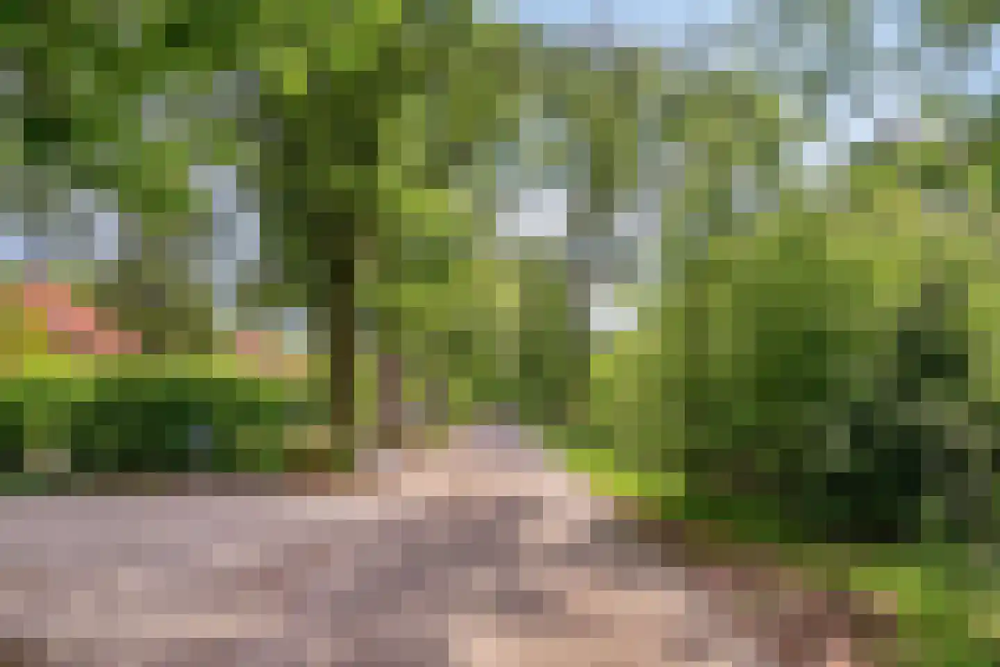Krakelingweg 35 Zeist thumbnail 40