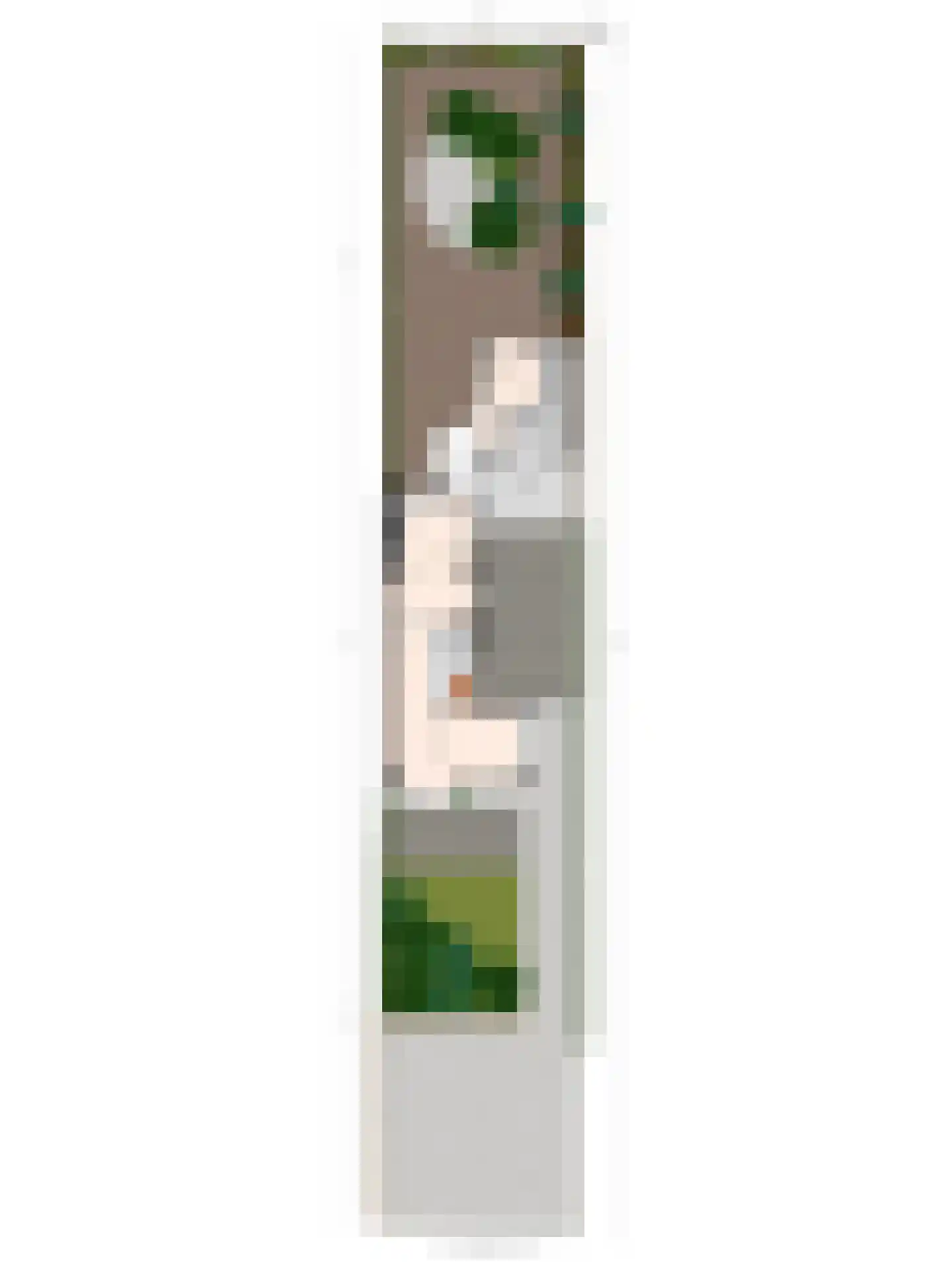 Krakelingweg 35 Zeist thumbnail 45