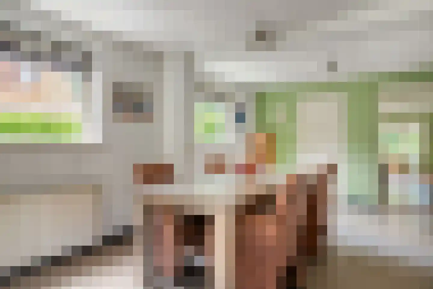 Krakelingweg 35 Zeist thumbnail 9