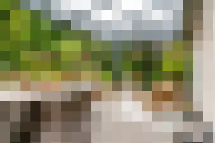 Krakelingweg 53 Zeist thumbnail 22
