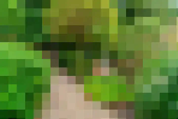 Krakelingweg 53 Zeist thumbnail 42