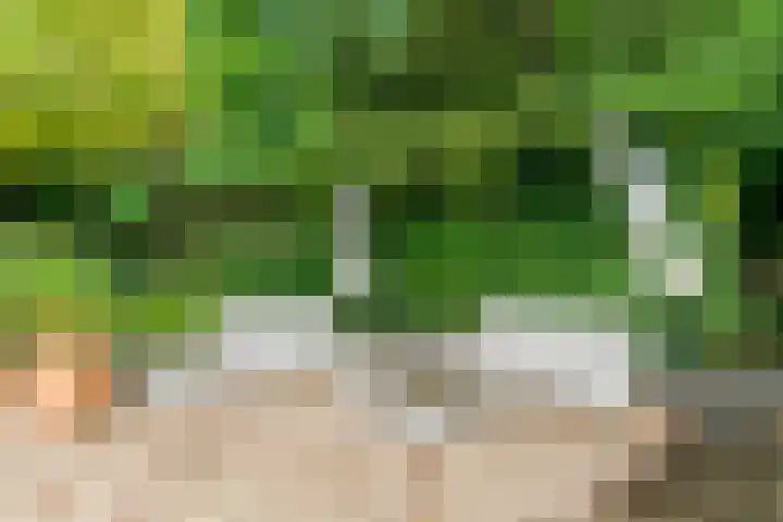 Krakelingweg 53 Zeist thumbnail 45