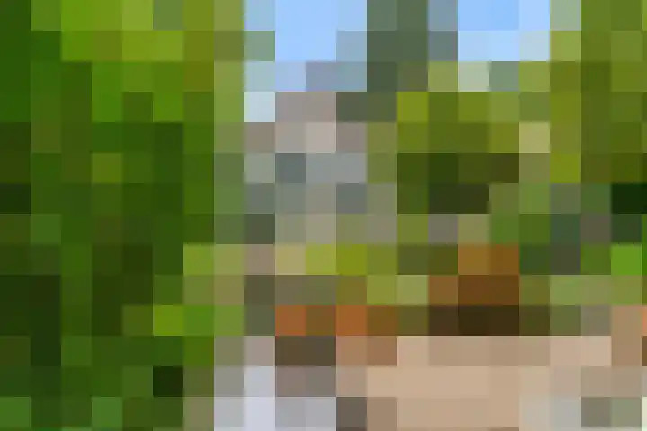Krakelingweg 53 Zeist thumbnail 47