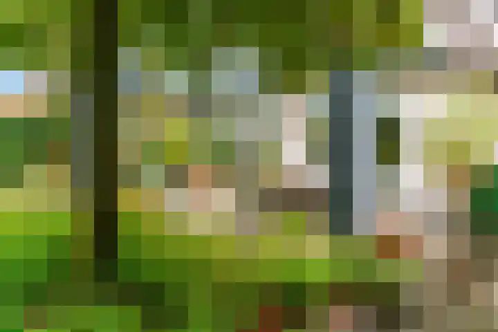 Krakelingweg 53 Zeist thumbnail 48