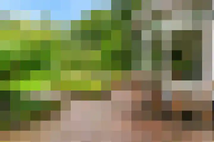 Krakelingweg 53 Zeist thumbnail 51