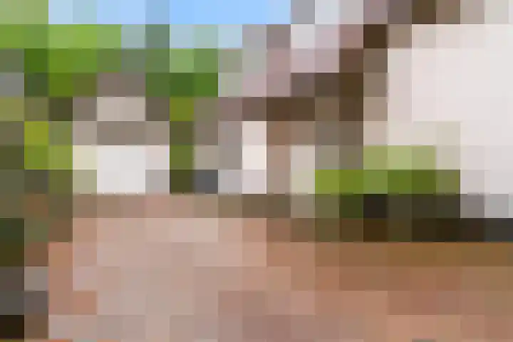 Krakelingweg 53 Zeist thumbnail 55
