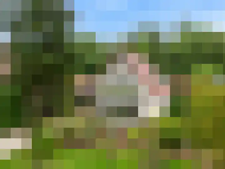 Krakelingweg 53 Zeist thumbnail 56