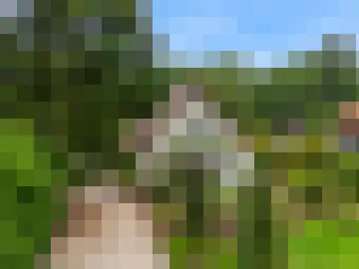 Krakelingweg 53 Zeist thumbnail 63