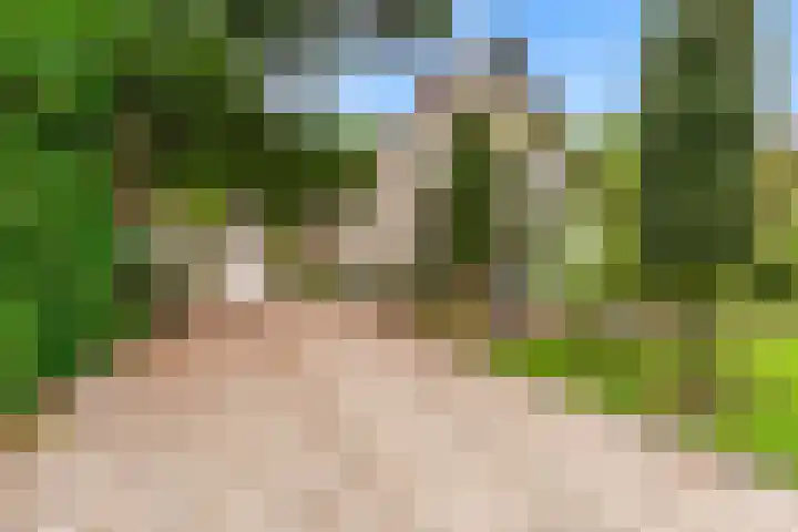 Krakelingweg 53 Zeist thumbnail 64
