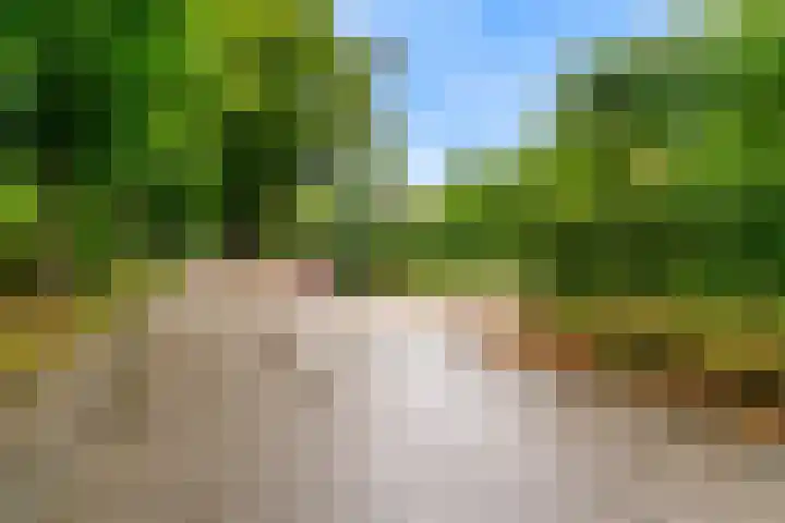Krakelingweg 53 Zeist thumbnail 66