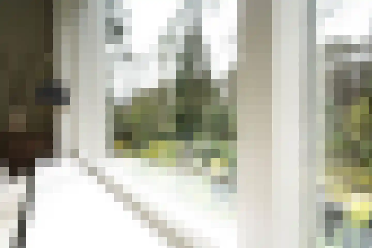 Krakelingweg 87 Zeist thumbnail 12