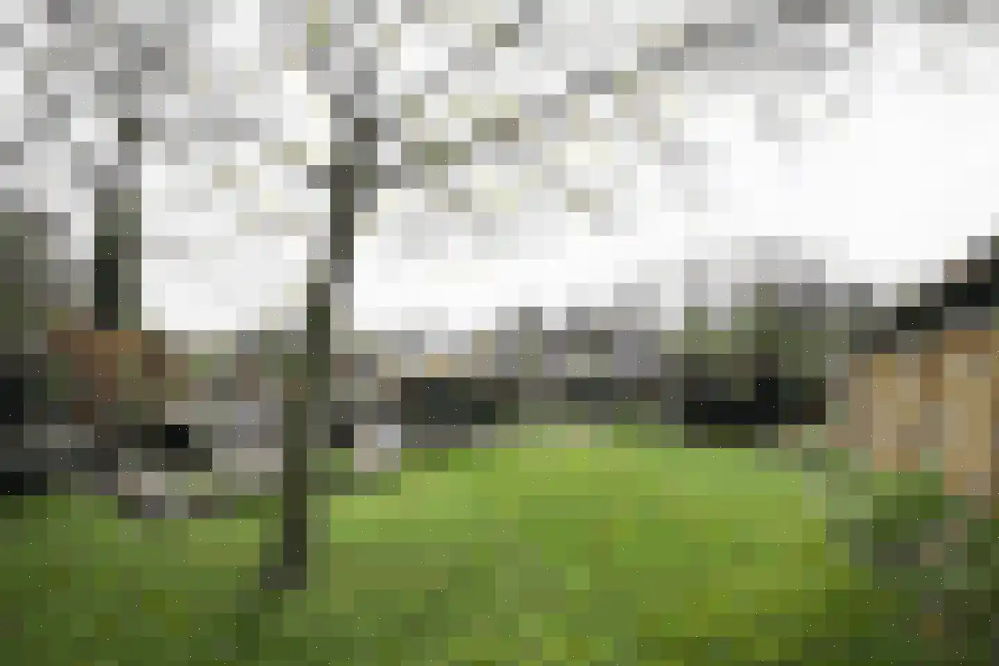 Krakelingweg 87 Zeist thumbnail 59