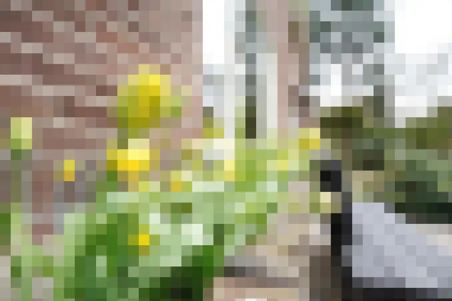 Krakelingweg 87 Zeist thumbnail 67