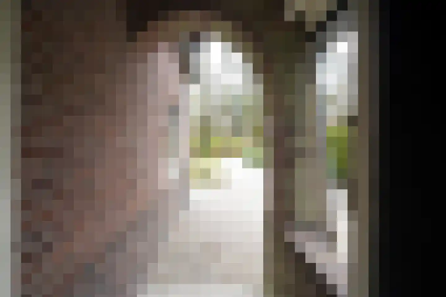 Krakelingweg 87 Zeist thumbnail 68