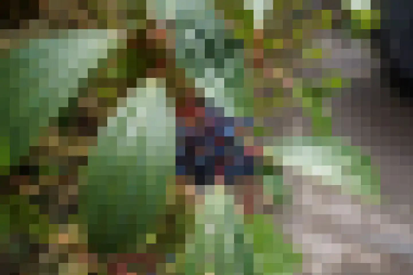Krakelingweg 87 Zeist thumbnail 69