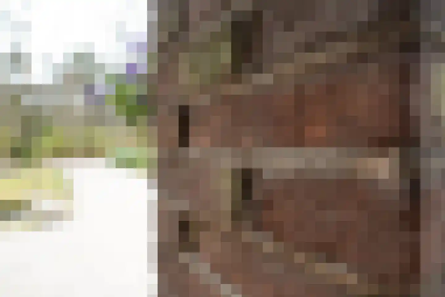 Krakelingweg 87 Zeist thumbnail 71