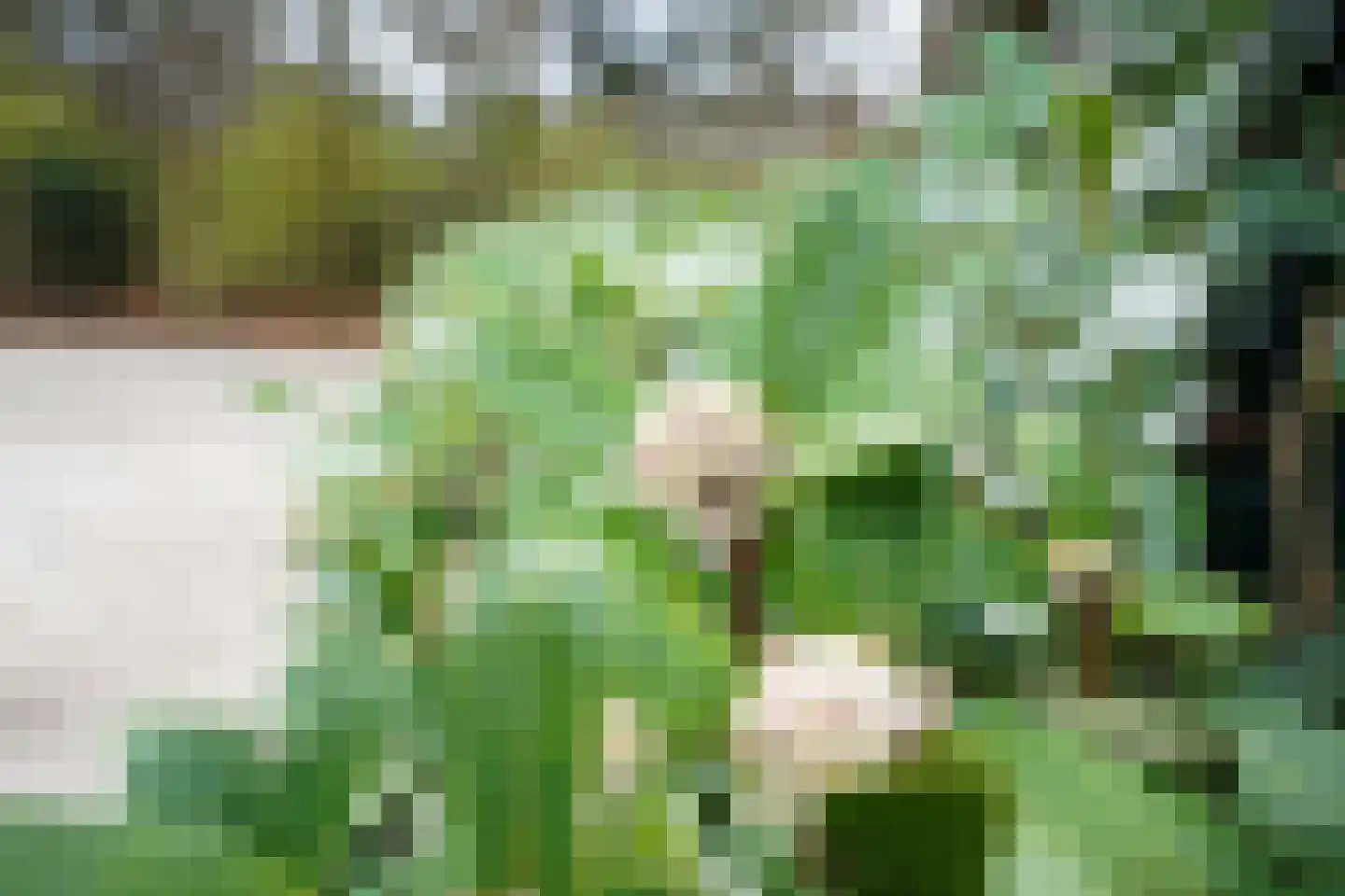 Krakelingweg 87 Zeist thumbnail 72