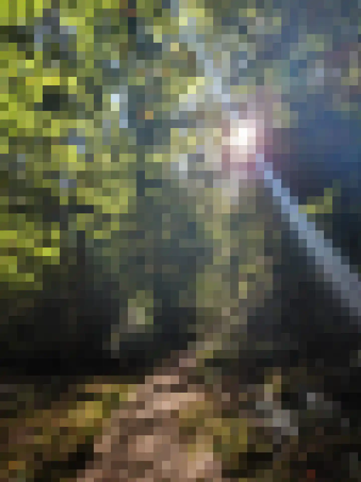 Krakelingweg 87 Zeist thumbnail 76