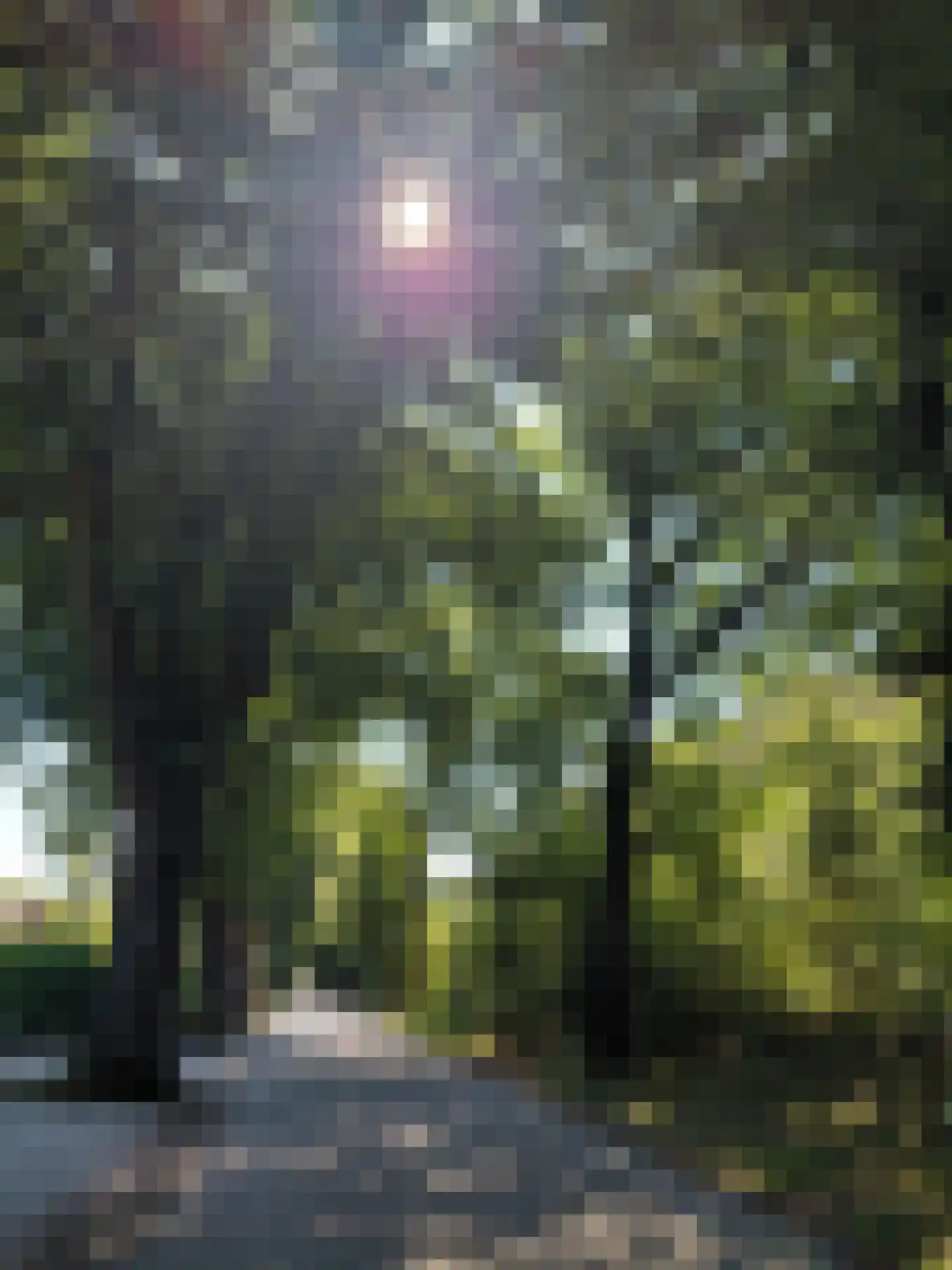 Krakelingweg 87 Zeist thumbnail 77