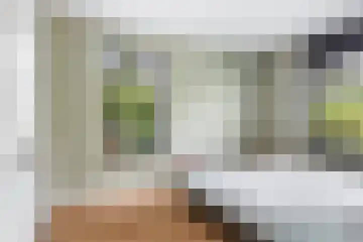 Krakestee 8 Oud-Beijerland thumbnail 12