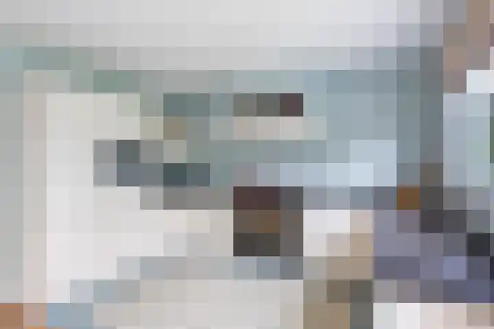 Krakestee 8 Oud-Beijerland thumbnail 30