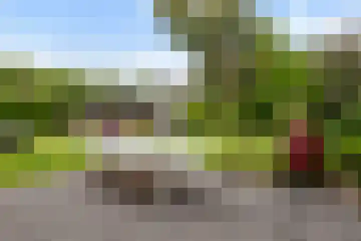 Krakestee 8 Oud-Beijerland thumbnail 33