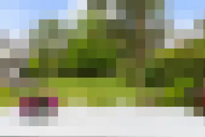 Krakestee 8 Oud-Beijerland thumbnail 34