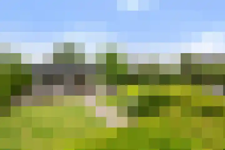 Krakestee 8 Oud-Beijerland thumbnail 37