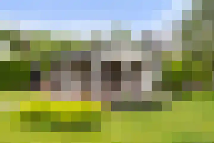 Krakestee 8 Oud-Beijerland thumbnail 38