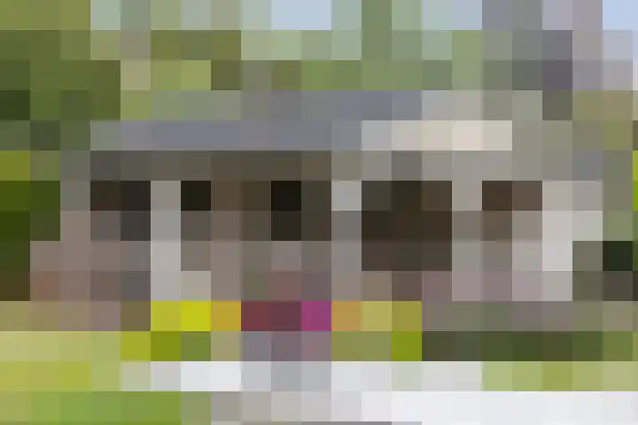 Krakestee 8 Oud-Beijerland thumbnail 39