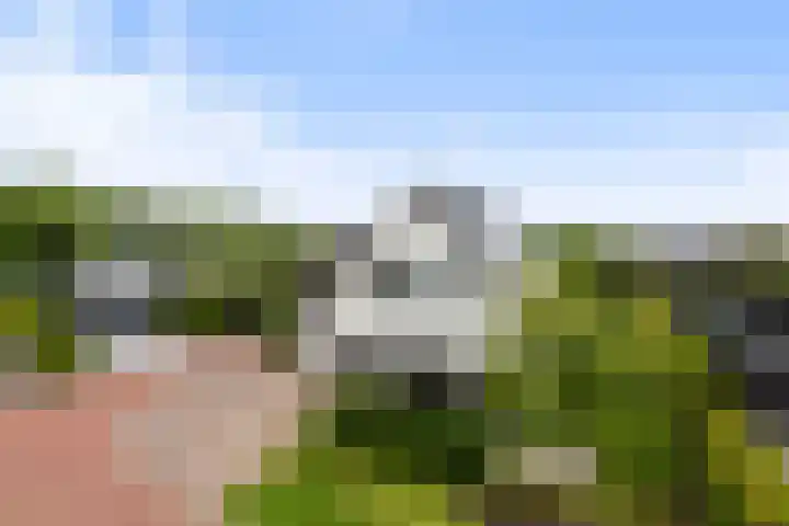 Krakestee 8 Oud-Beijerland thumbnail 4