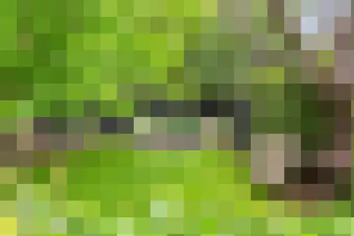 Krakestee 8 Oud-Beijerland thumbnail 44