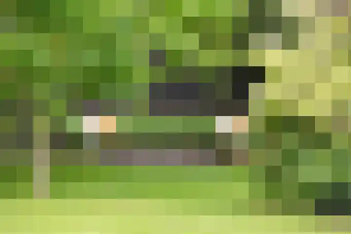 Krakestee 8 Oud-Beijerland thumbnail 45