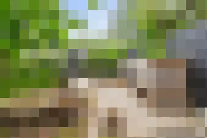 Krakestee 8 Oud-Beijerland thumbnail 46