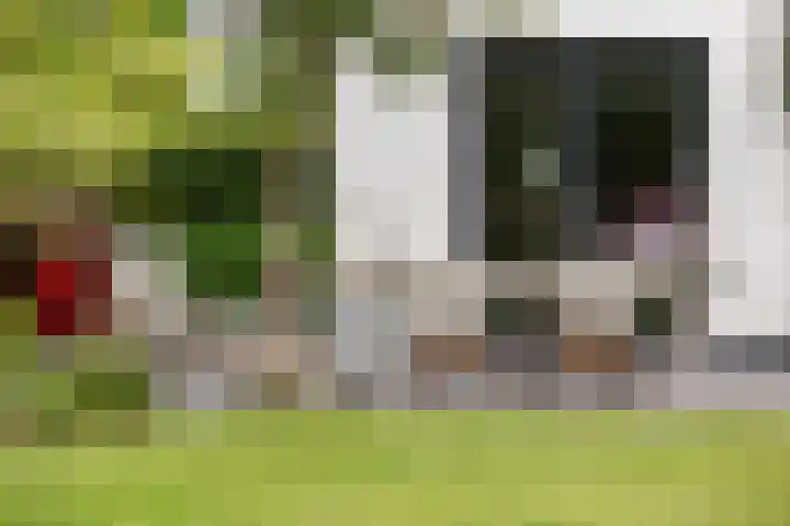 Krakestee 8 Oud-Beijerland thumbnail 48