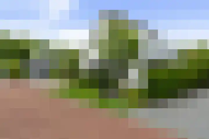 Krakestee 8 Oud-Beijerland thumbnail 5